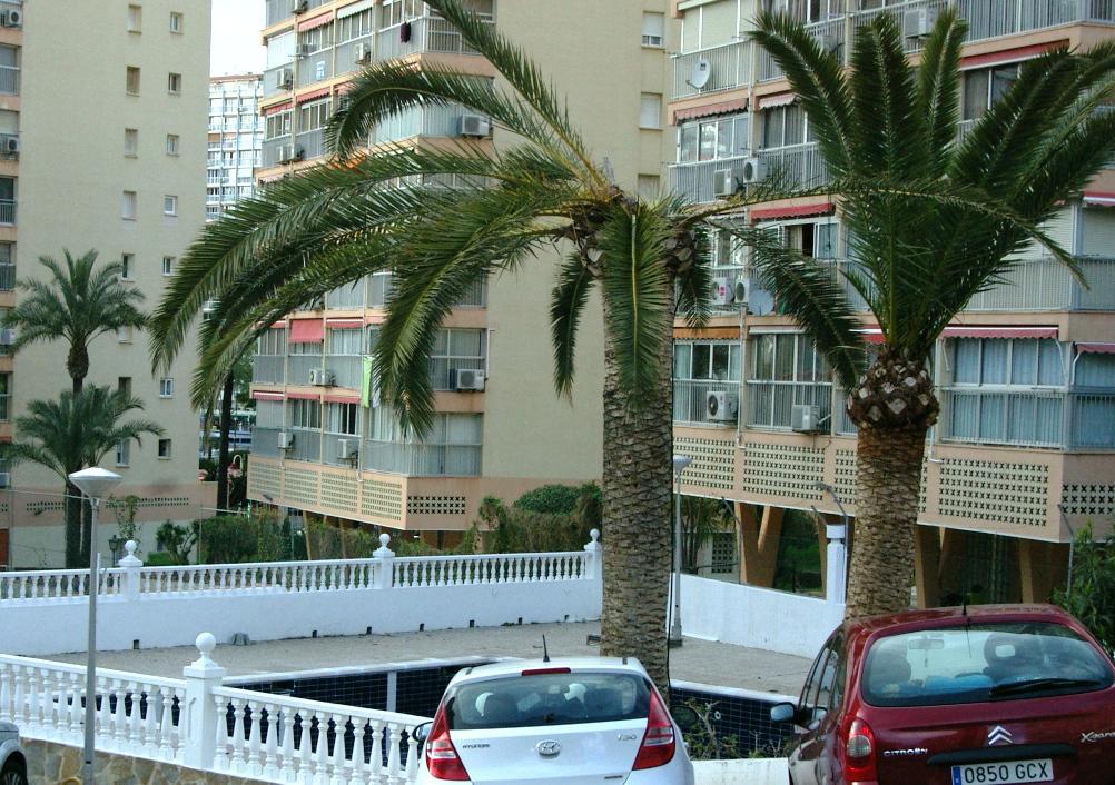 Don Miguel 1 - Arca Rent Appartement Benidorm Buitenkant foto